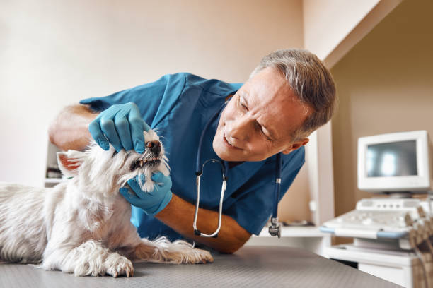 Best Emergency Dental Care for Abscessed Tooth in Grapevine, TX